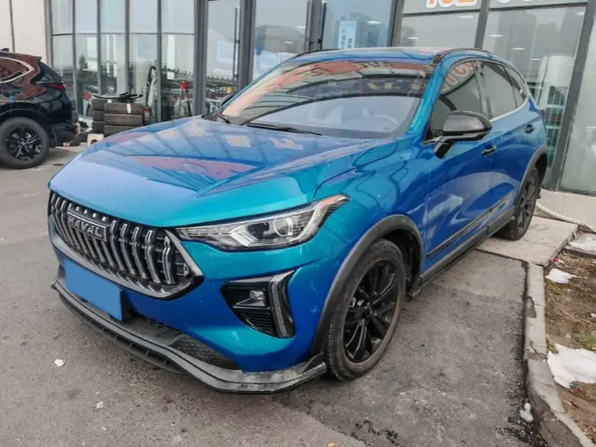 2021 HAVAL RABBIT view 1