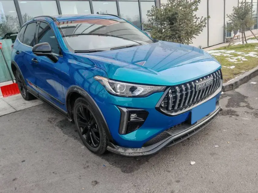 2021 HAVAL RABBIT thumbnail 3