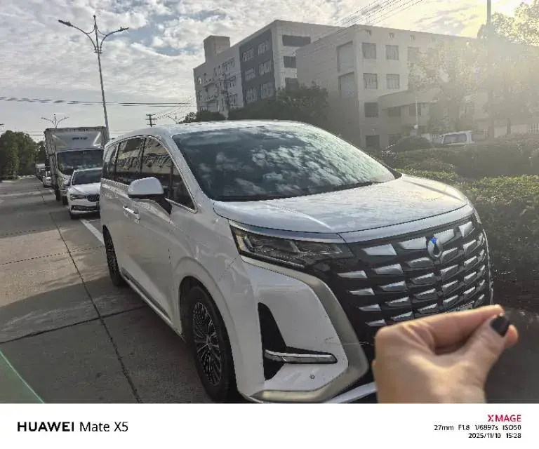 2024 DENZA D9 thumbnail 2