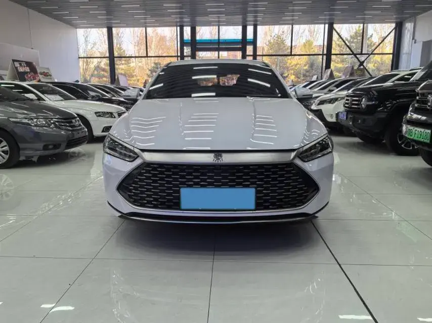 2024 BYD QIN thumbnail 2