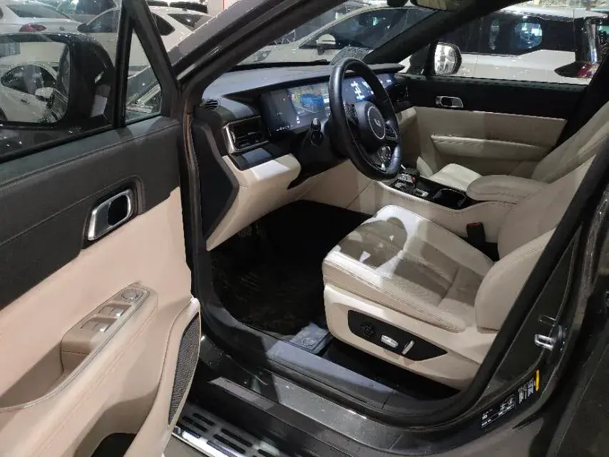 2020 LI ONE thumbnail 3