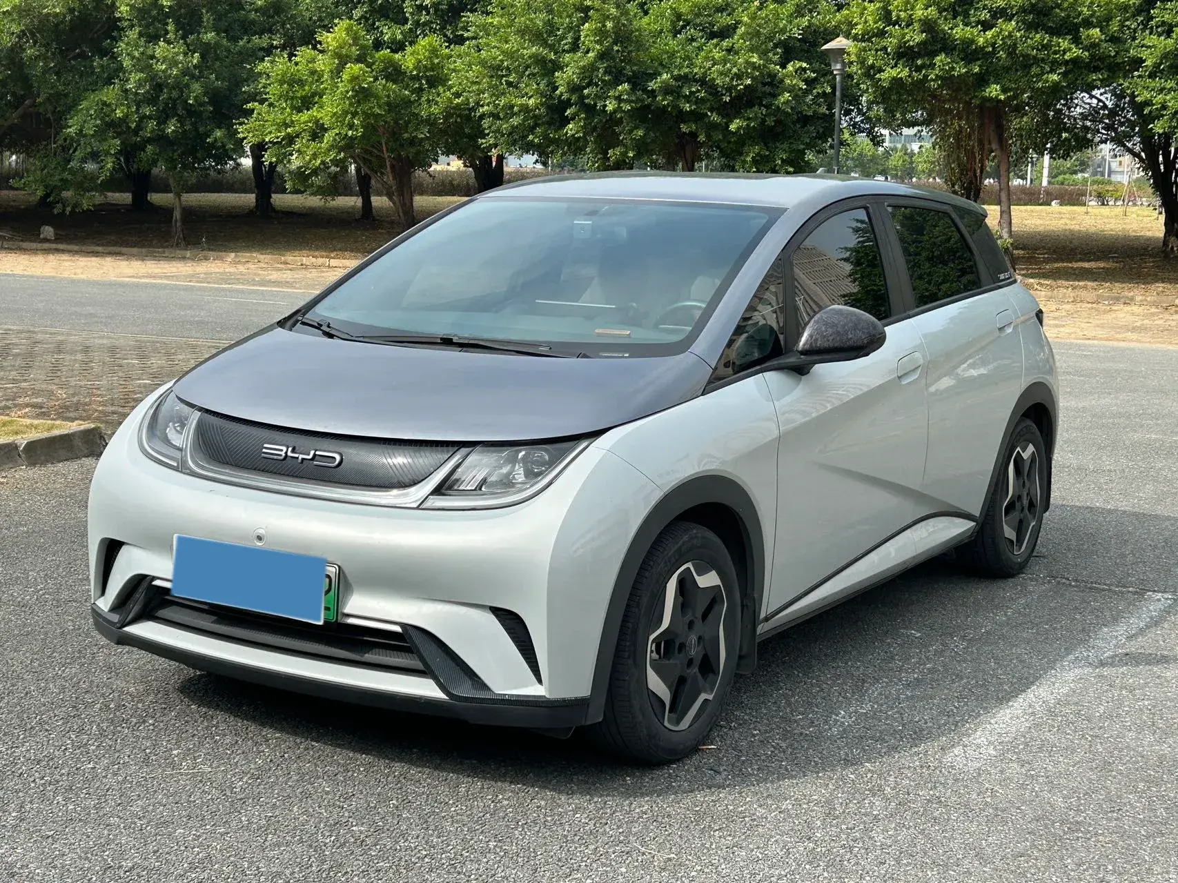 2021 BYD DOLPHIN view 1