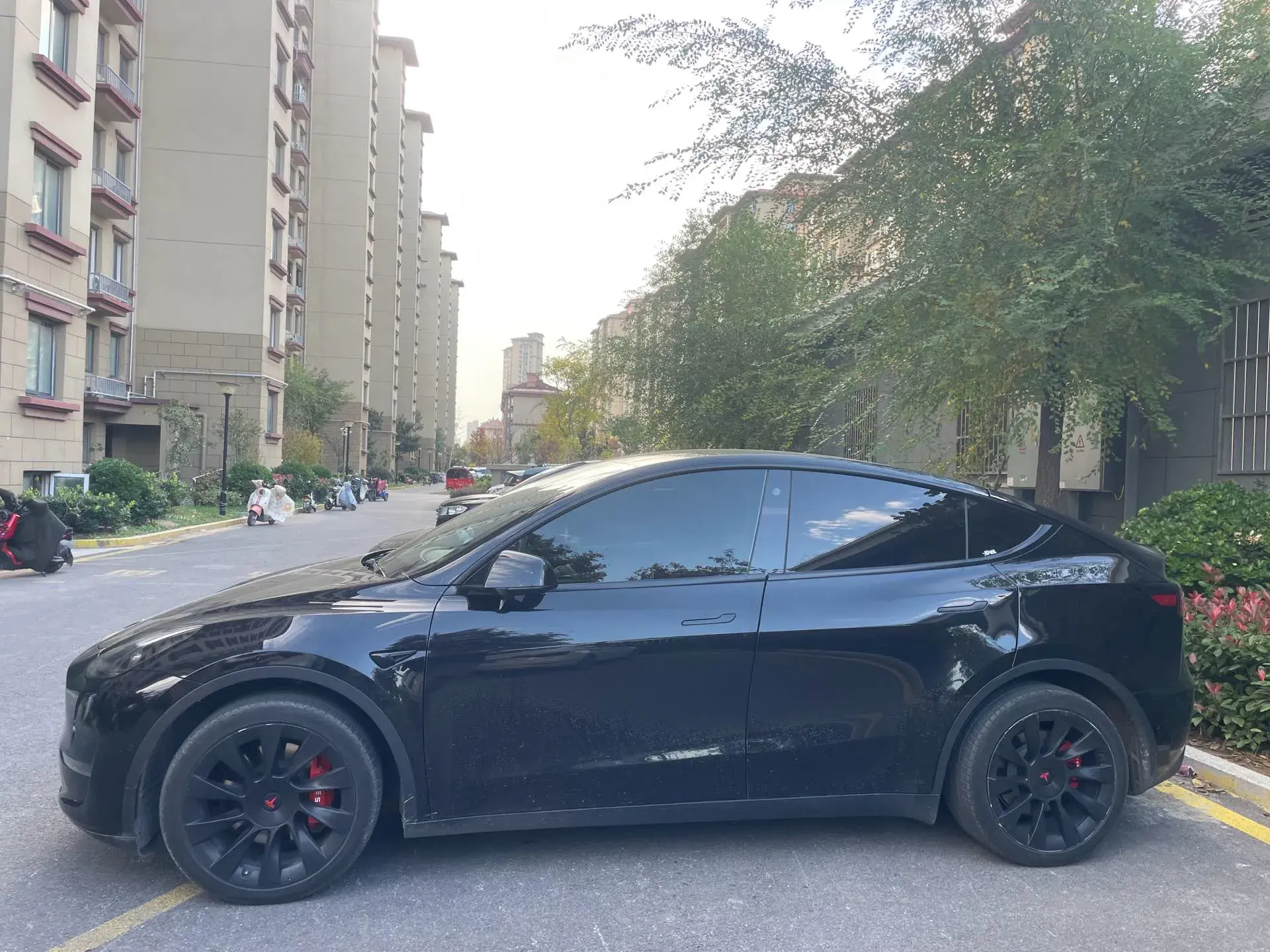 2021 TESLA MODEL thumbnail 4