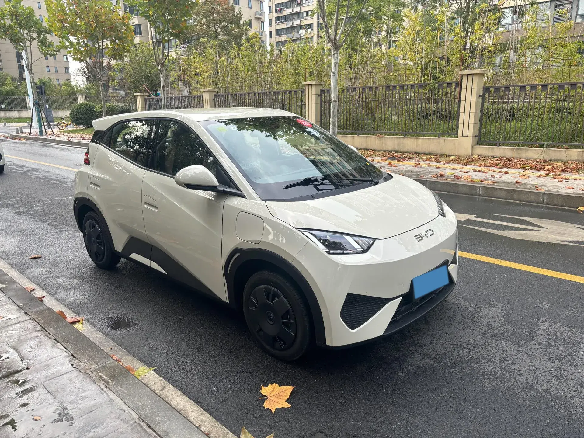 2025 BYD SEAGULL thumbnail 3