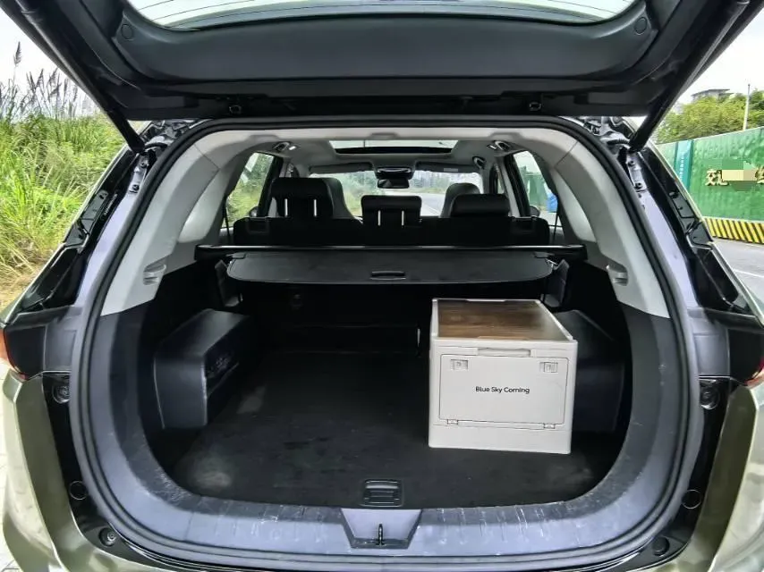 2020 Weltmeister EX6 BEV 69KWH,autocango,china used car exporter,china ev exporter,chinese used car exporter,chinese used ev exporter