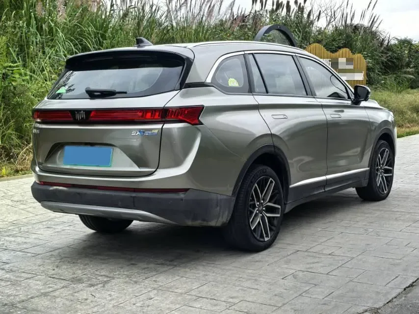 2020 Weltmeister EX6 BEV 69KWH,autocango,china used car exporter,china ev exporter,chinese used car exporter,chinese used ev exporter