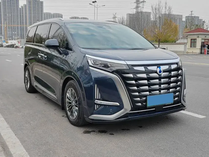 2022 DENZA D9 thumbnail 4