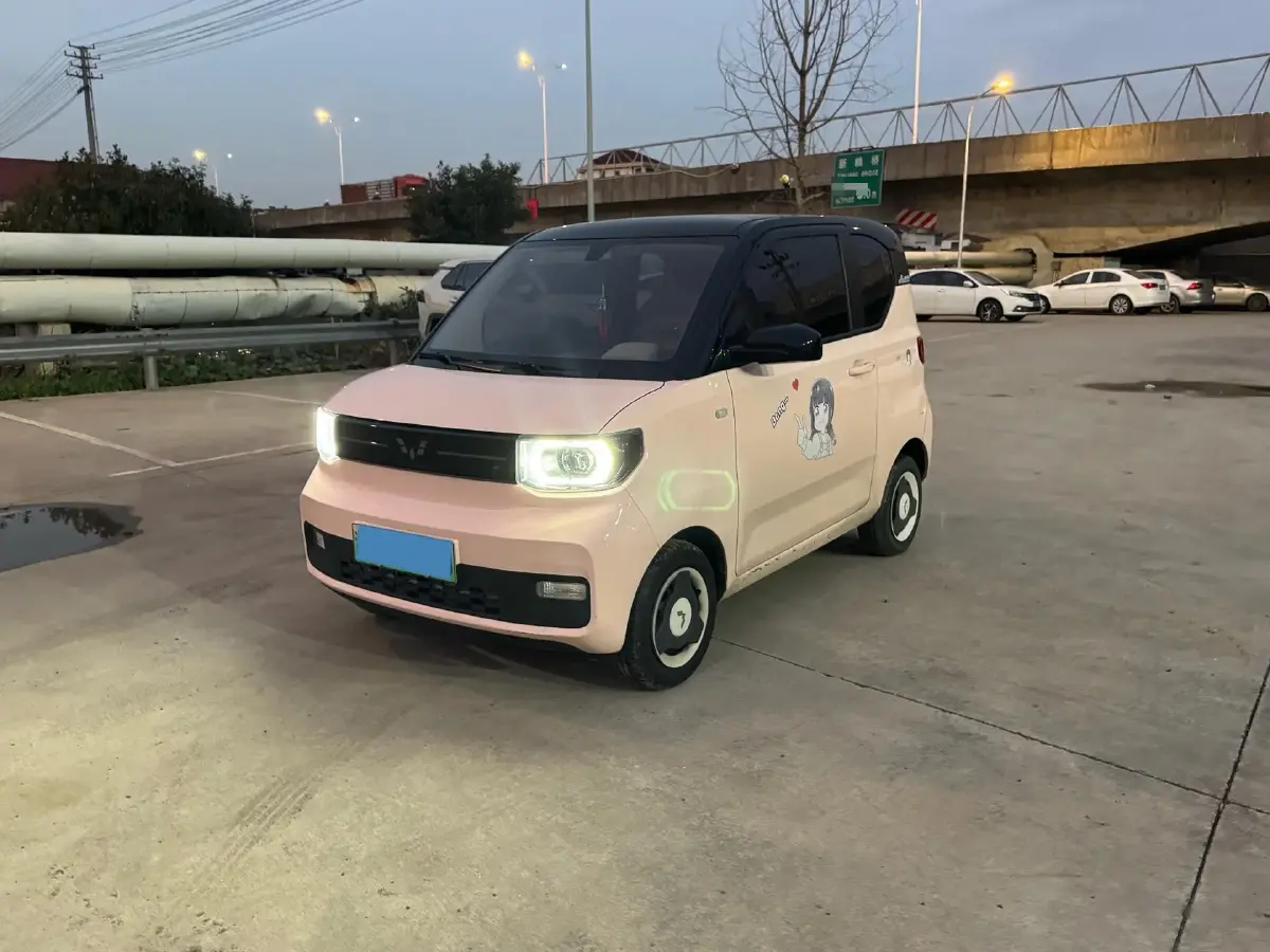 2020 WuLing HongGuang MINI EV BEV 13.8KWH