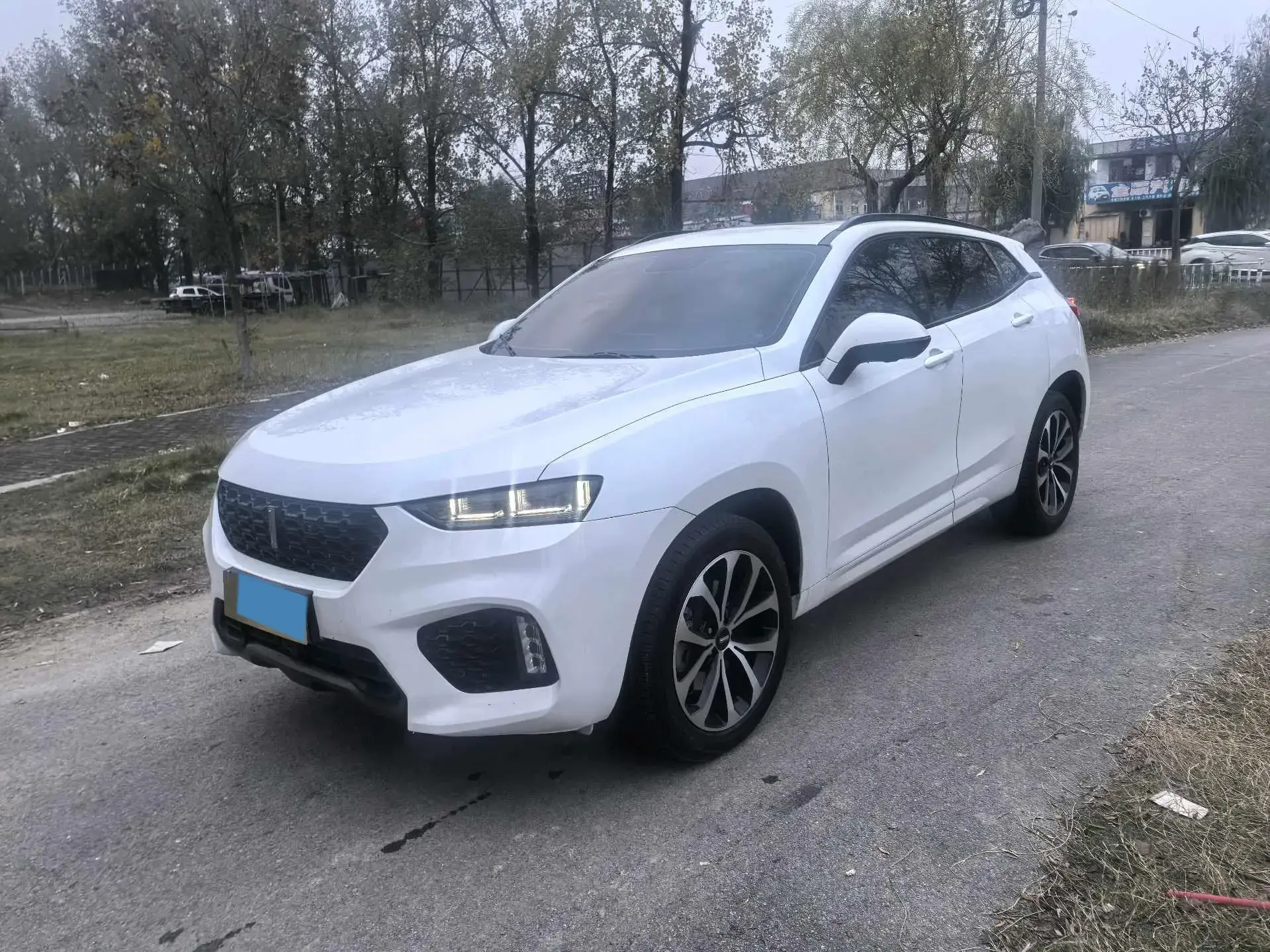 2017 ZOTYE T700 view 1