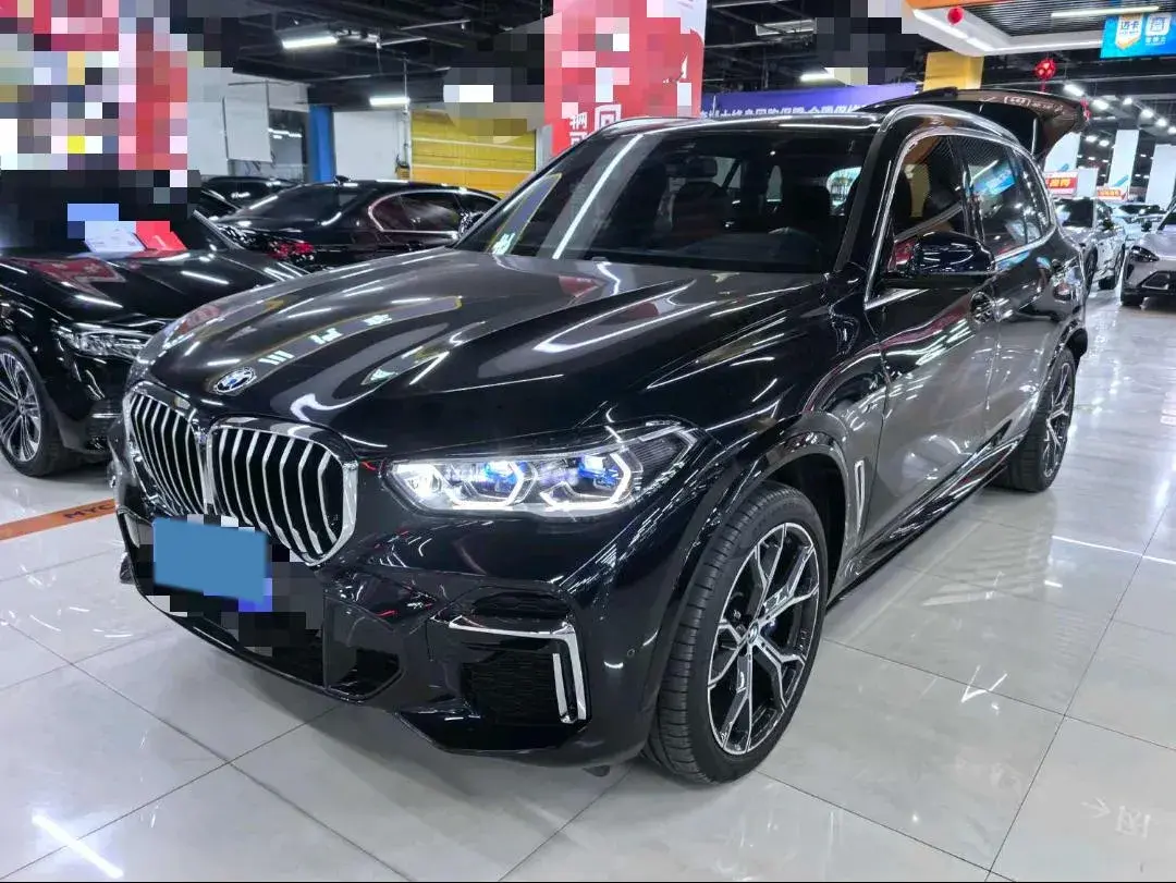 2022 BMW X5 view 1