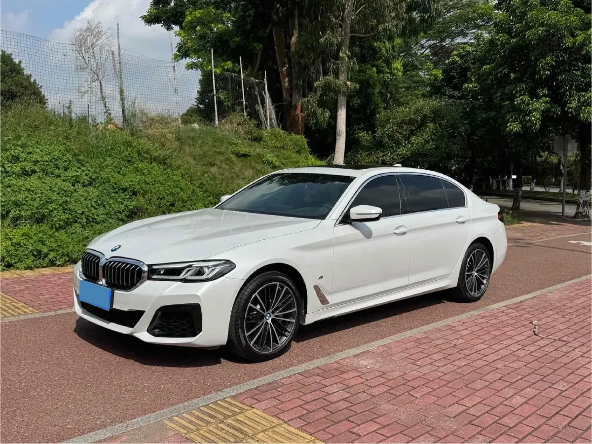 2023 BMW 5 Series 2.0T 245HP L4 8AT,autocango,china used car exporter,china ev exporter,chinese used car exporter,chinese used ev exporter