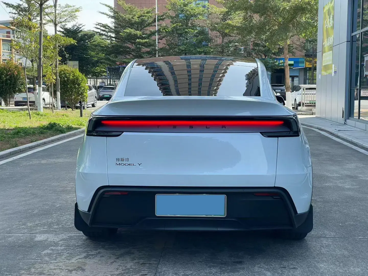 2025 TESLA MODEL thumbnail 3