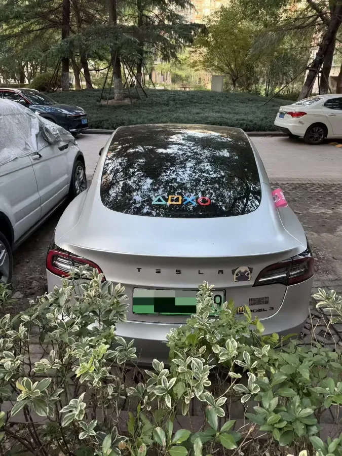 2020 Tesla Model 3 BEV 52KWH,autocango,china used car exporter,china ev exporter,chinese used car exporter,chinese used ev exporter