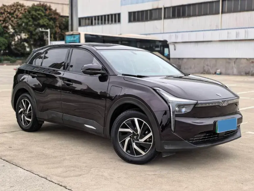 2021 NETA U thumbnail 3