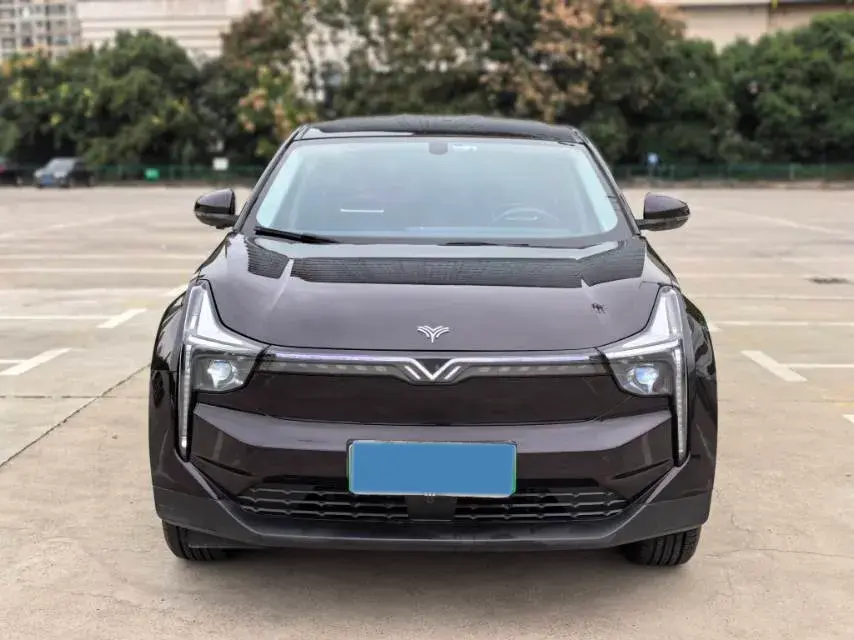 2021 NETA U thumbnail 2