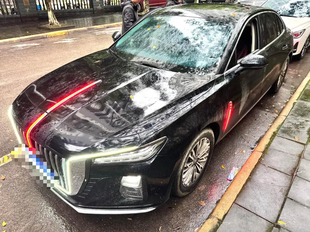 2024 HONGQI H5 view 1