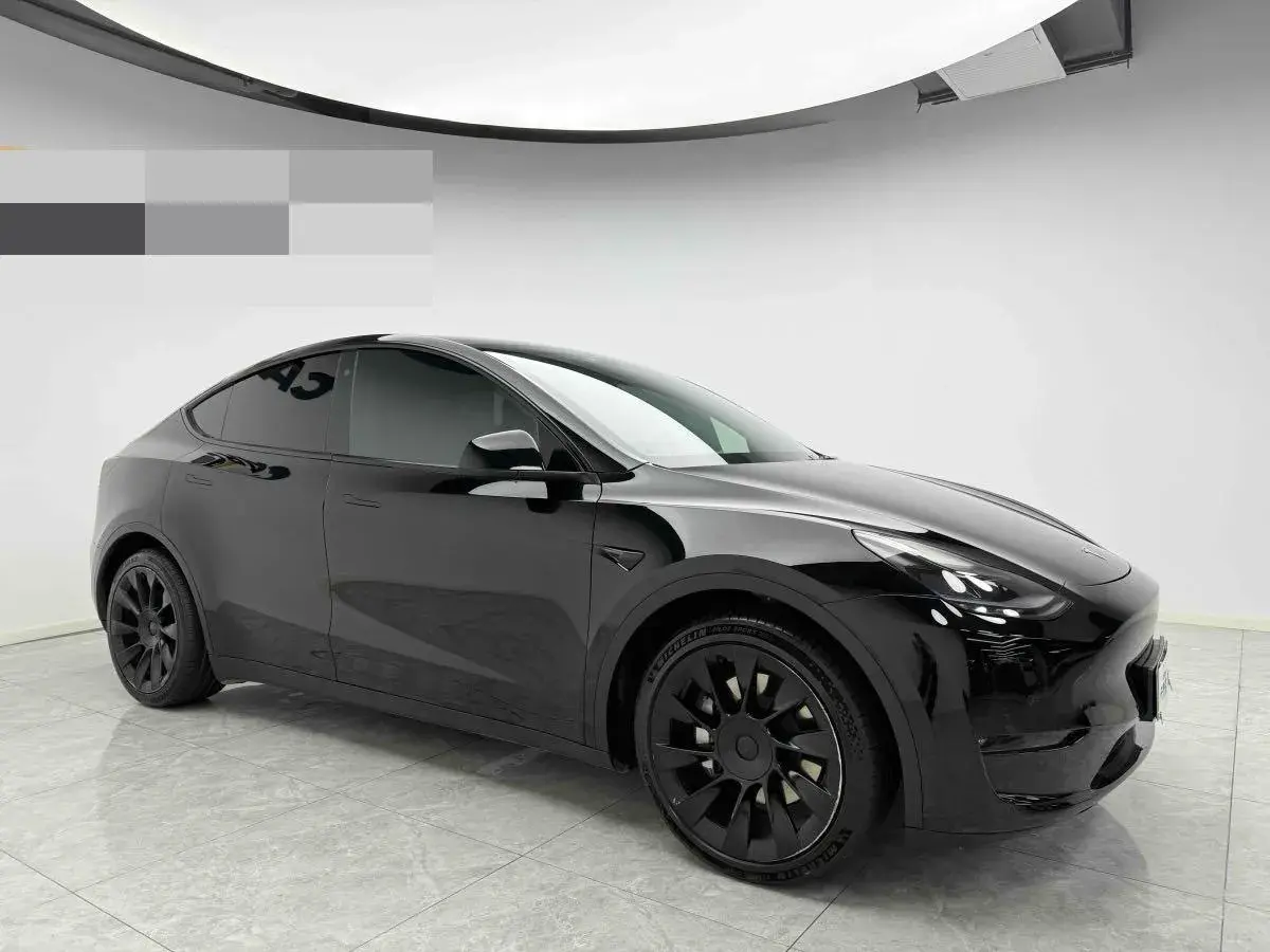 2021 TESLA MODEL thumbnail 3