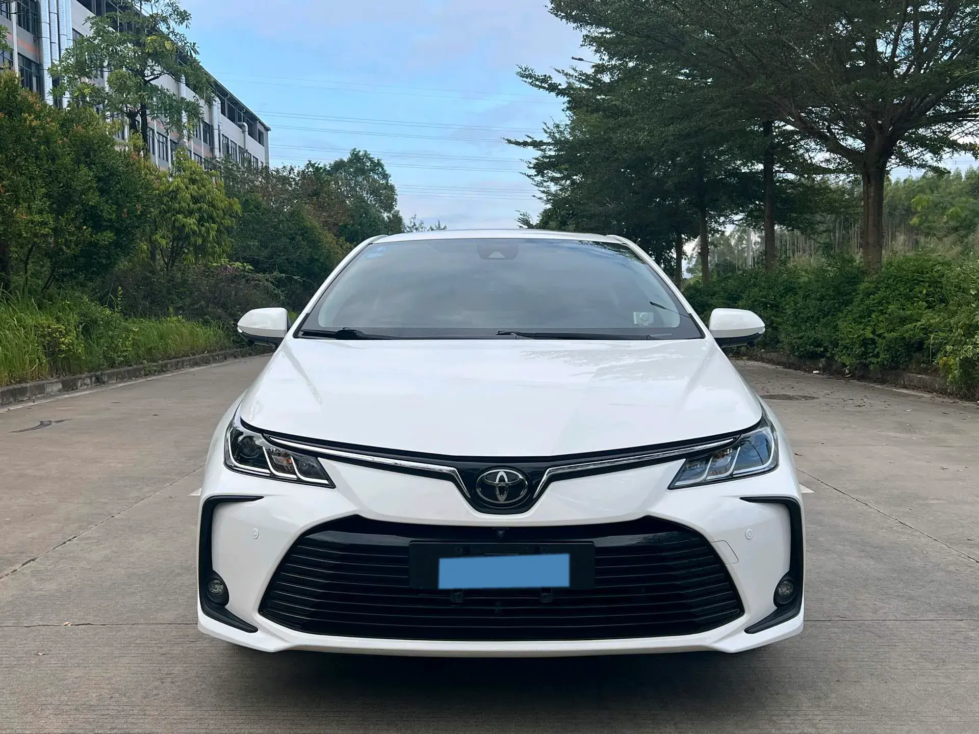 2019 TOYOTA COROLLA thumbnail 2