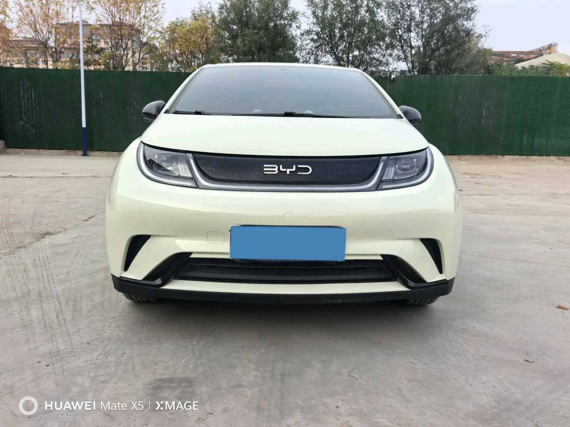 2025 BYD DOLPHIN thumbnail 4