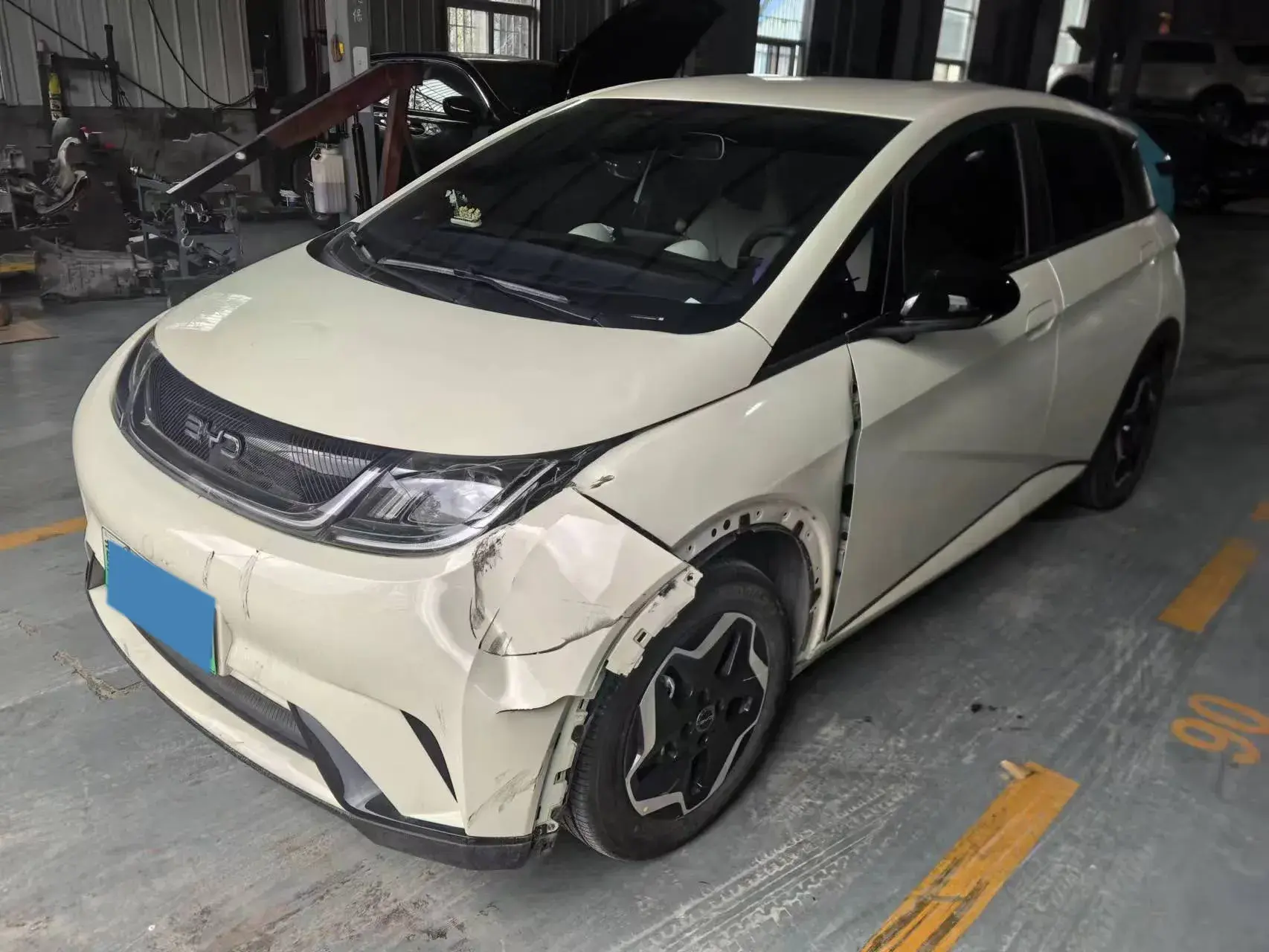 2025 BYD DOLPHIN view 1