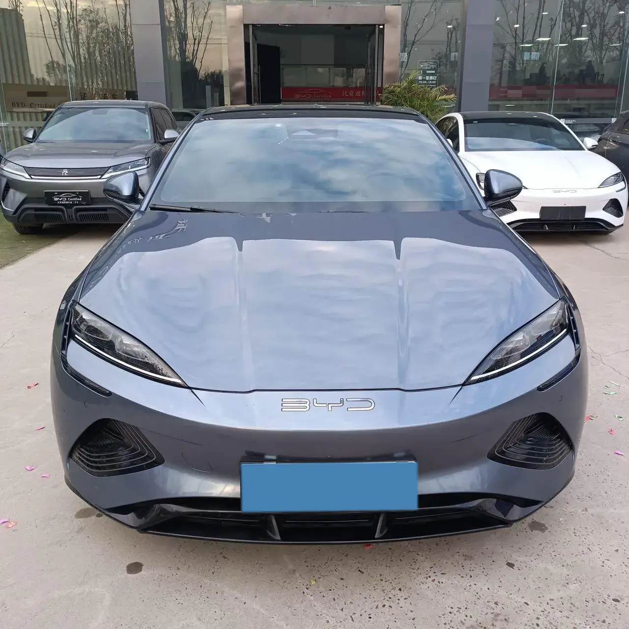 2022 BYD SEAL thumbnail 2