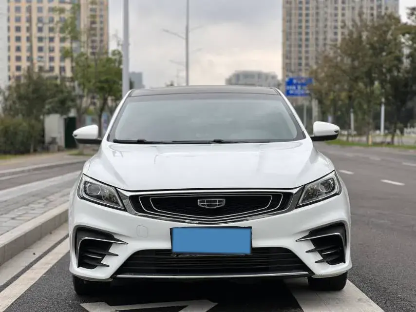 2020 GEELY BINRAY thumbnail 2