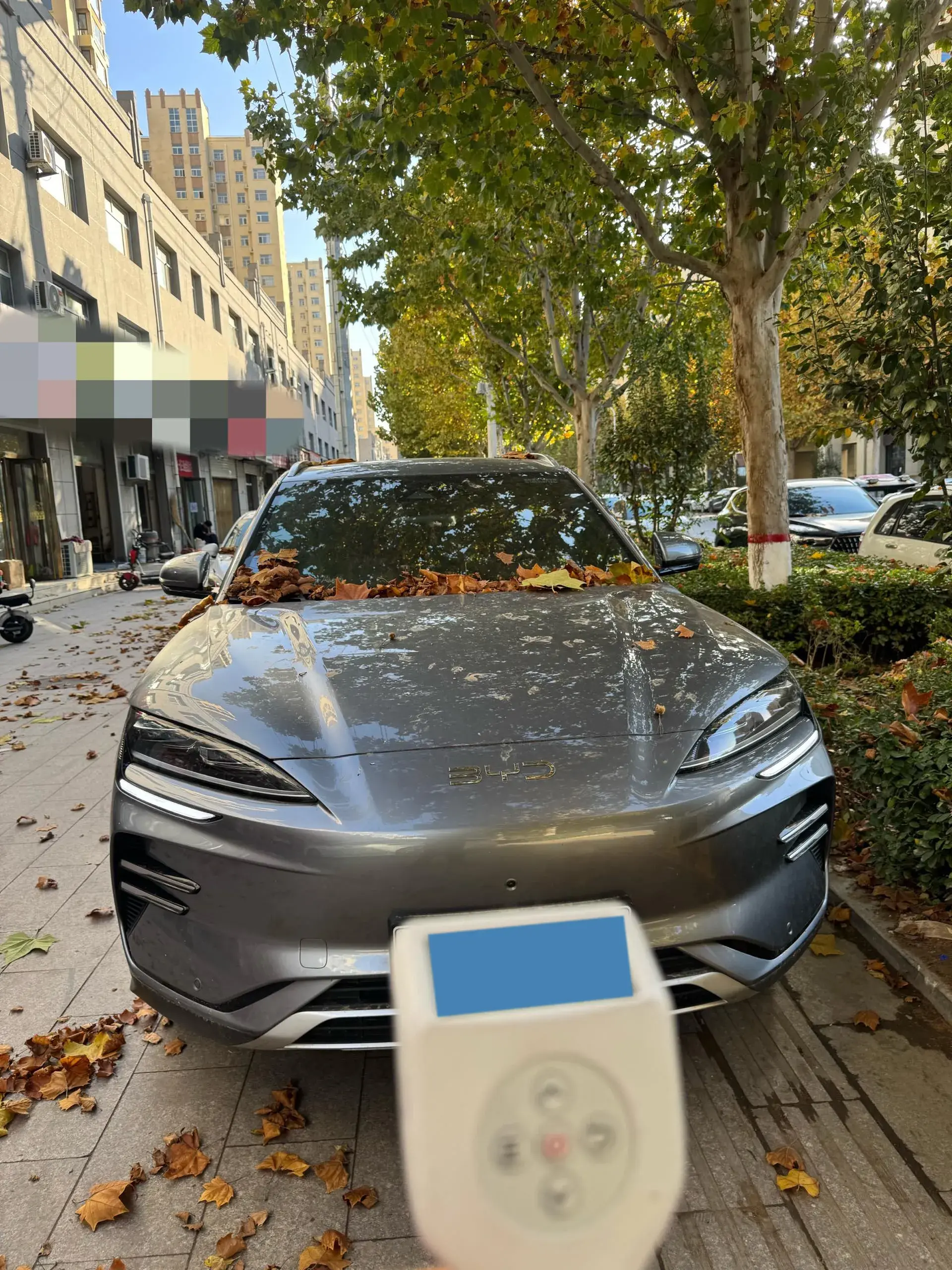 2025 BYD SONG thumbnail 2