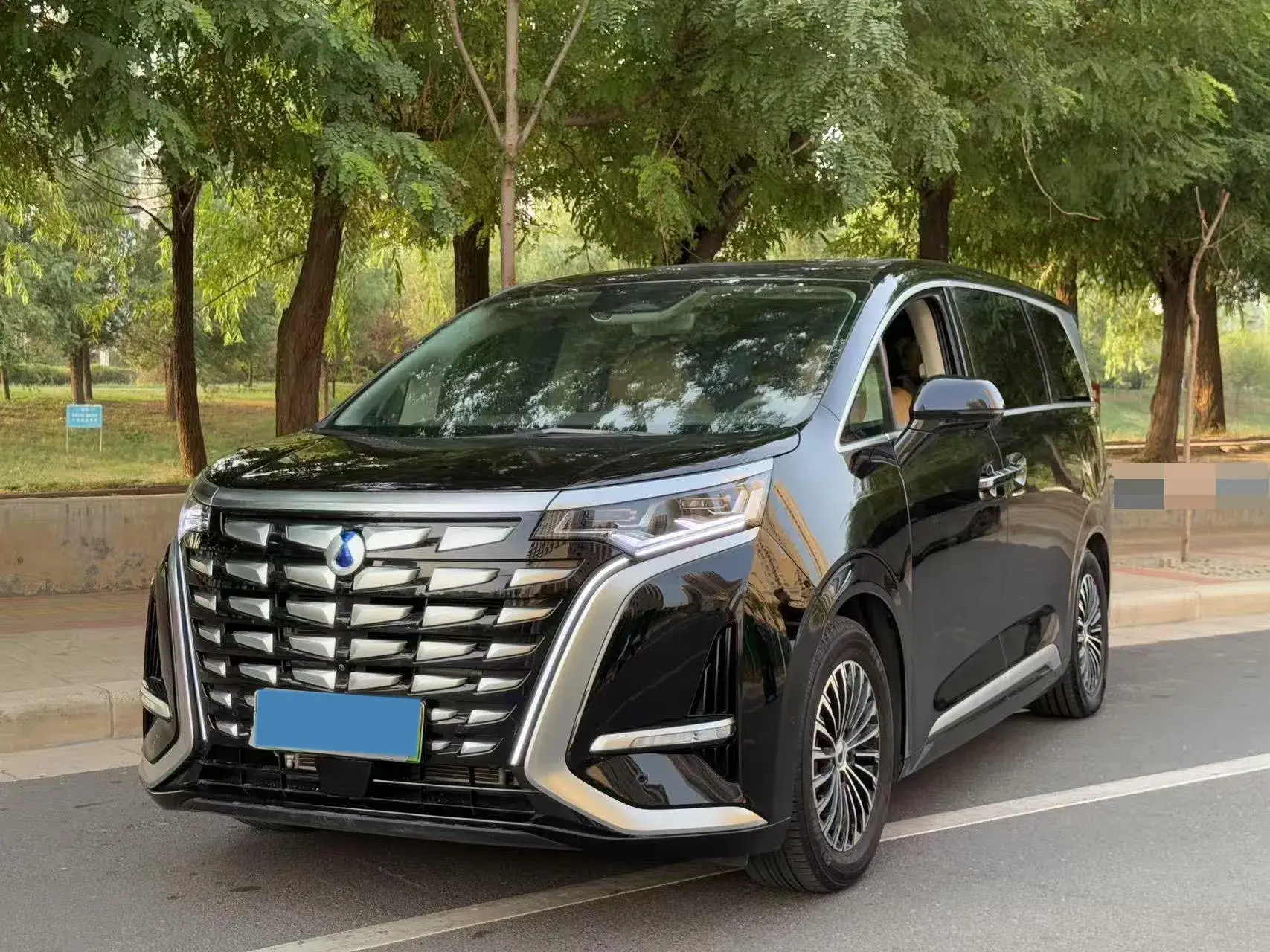 2022 DENZA D9 view 1