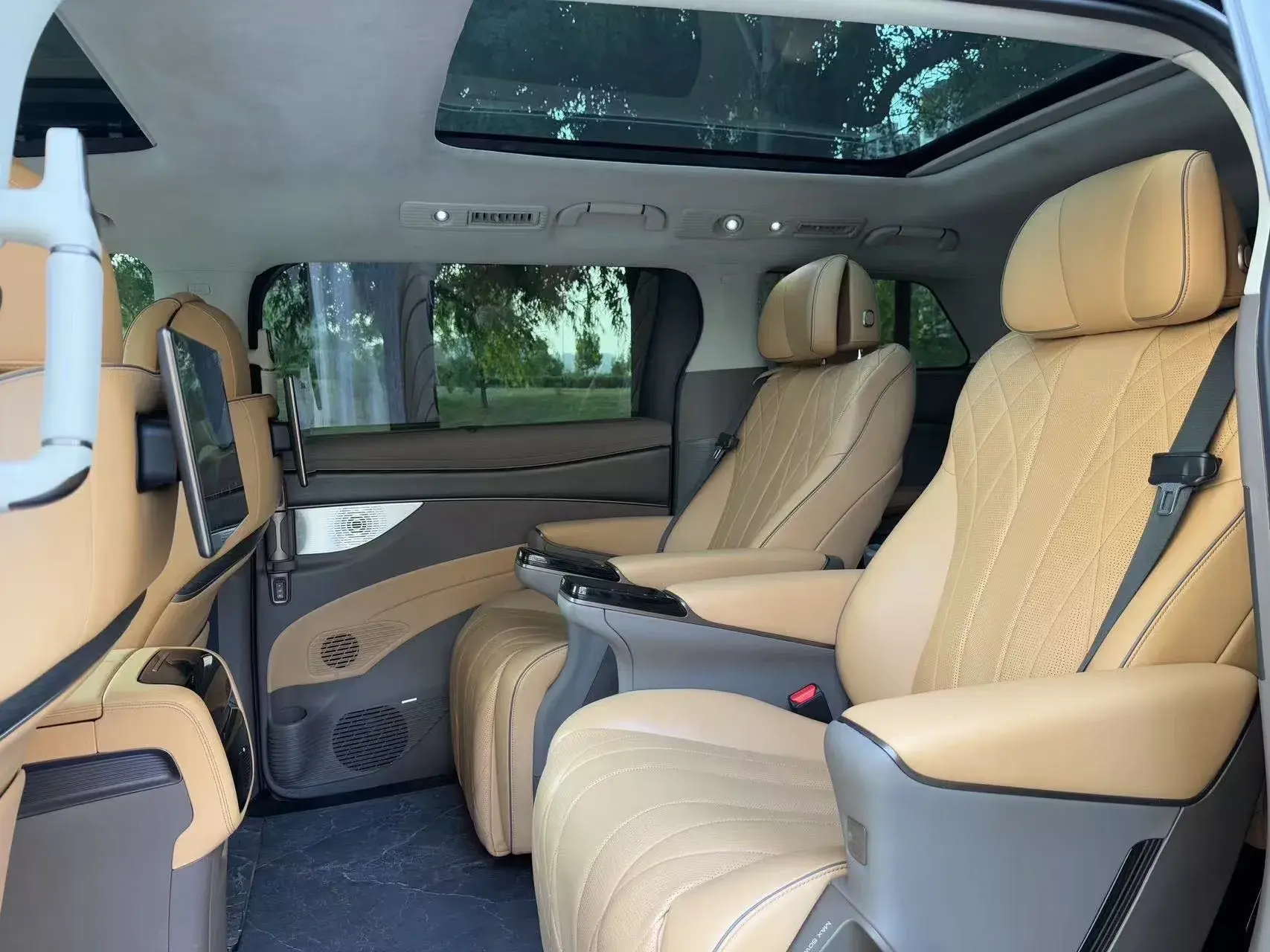 2022 DENZA D9 thumbnail 4