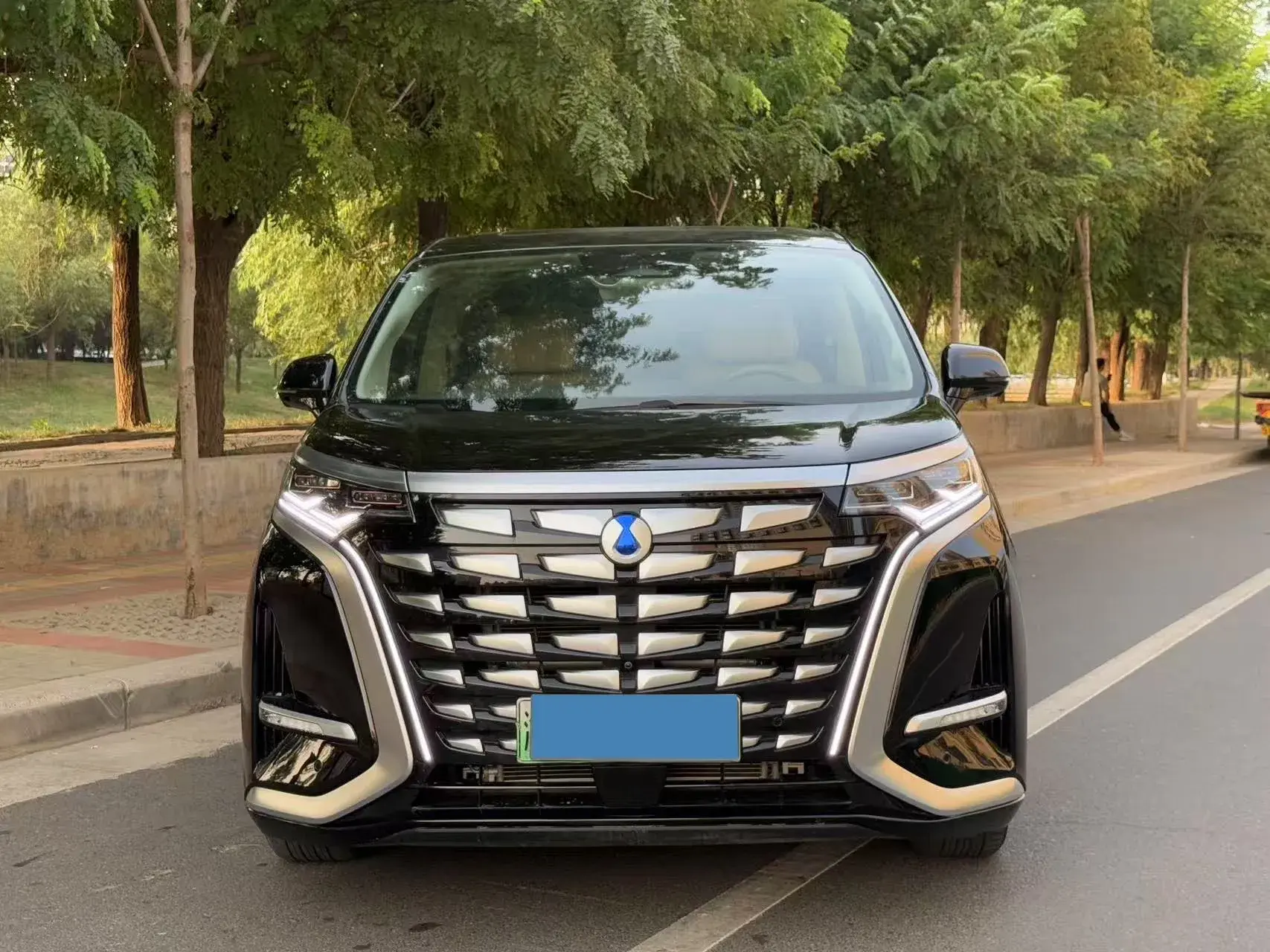 2022 DENZA D9 thumbnail 2