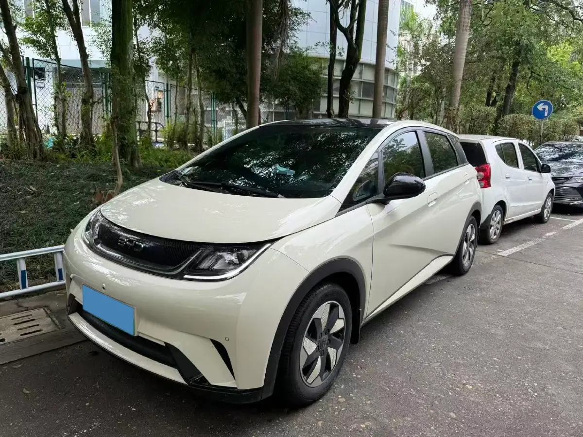 2024 BYD Dolphin BEV 44.928KWH