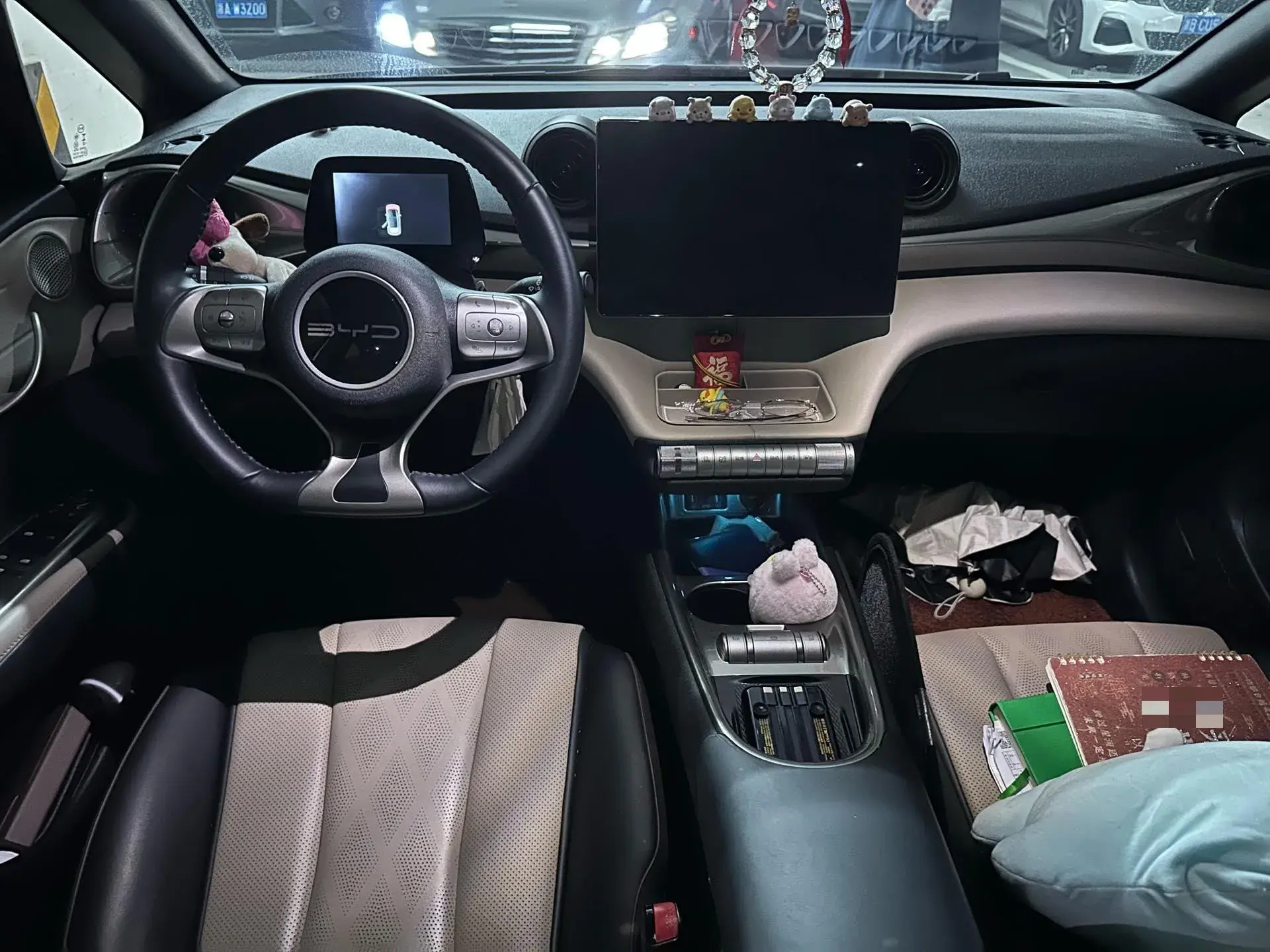 2023 BYD DOLPHIN thumbnail 4