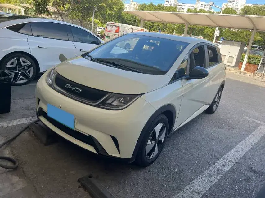 2023 BYD DOLPHIN view 1