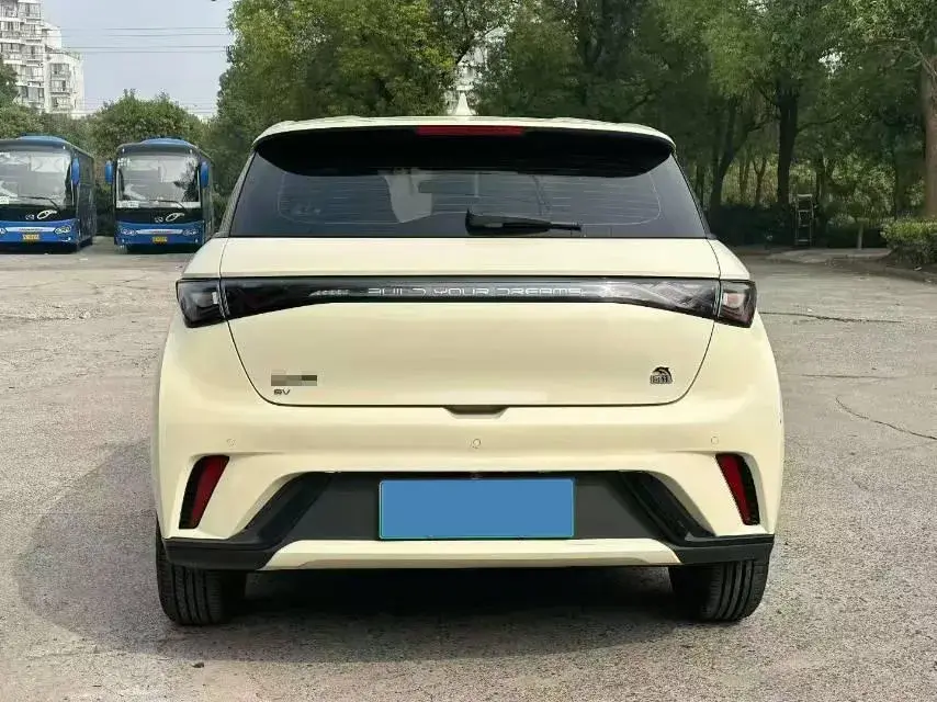 2023 BYD DOLPHIN thumbnail 4