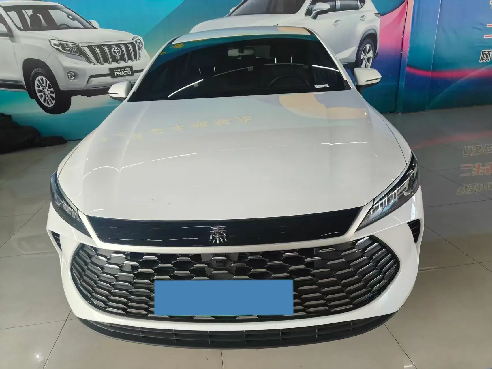 2024 BYD QIN thumbnail 3