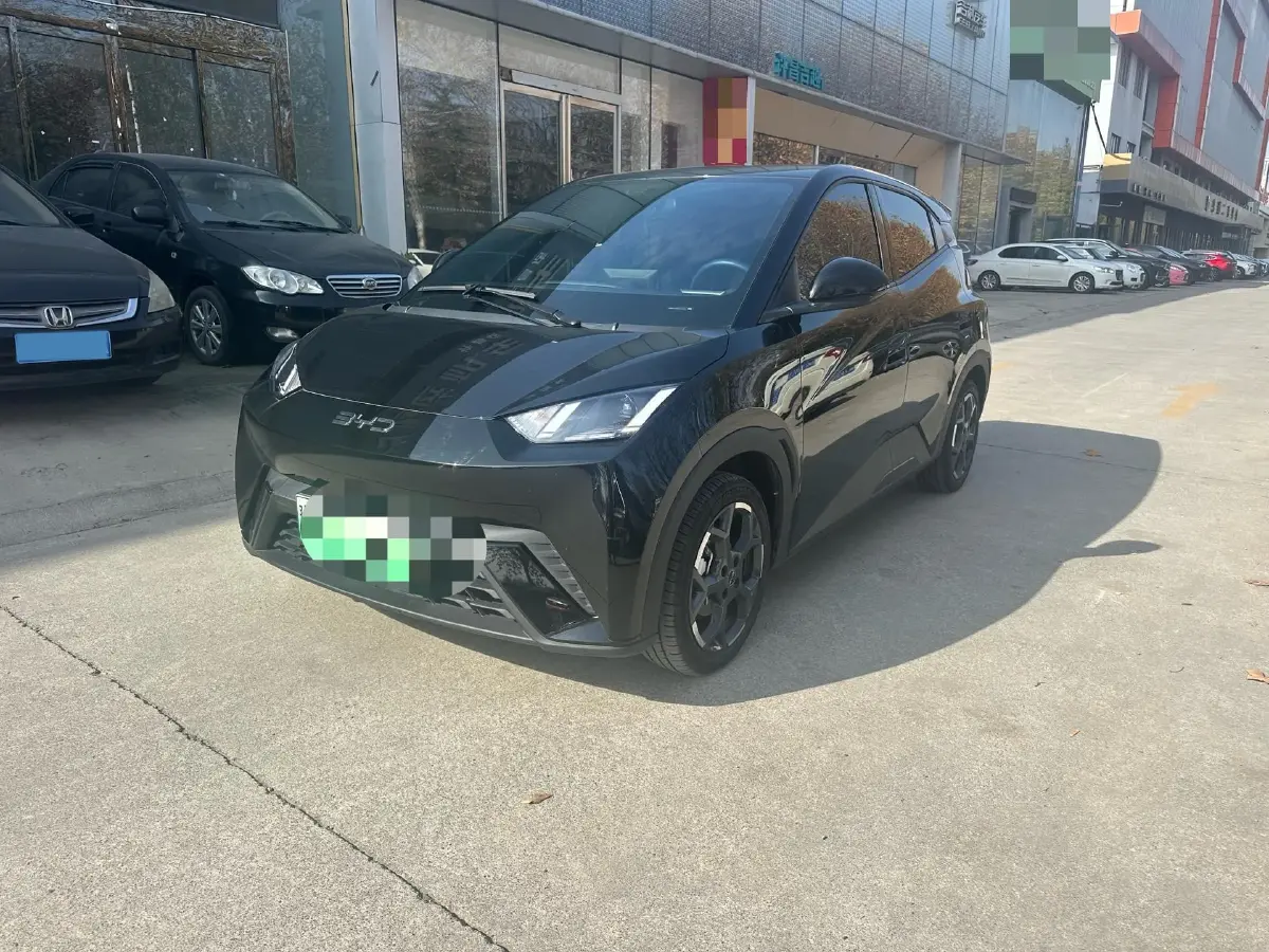 2024 BYD Seagull BEV 38.88KWH