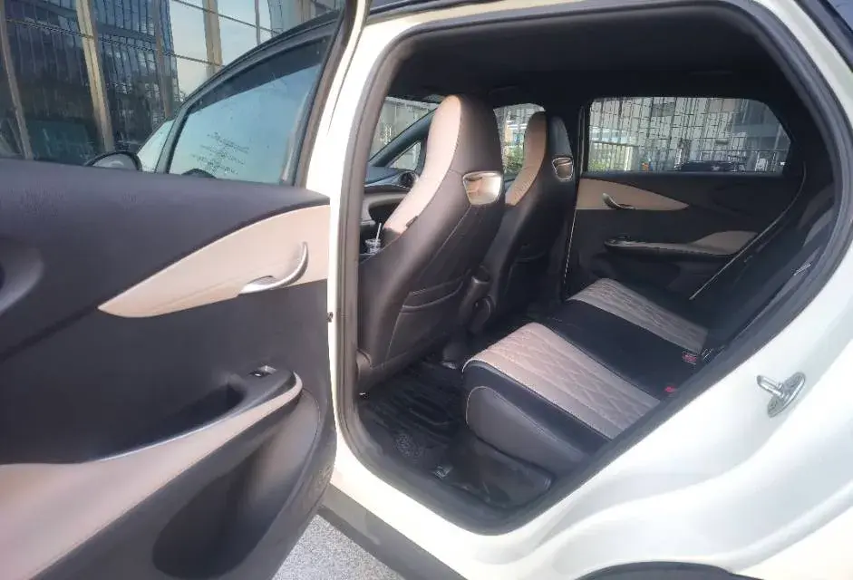 2021 BYD DOLPHIN thumbnail 4