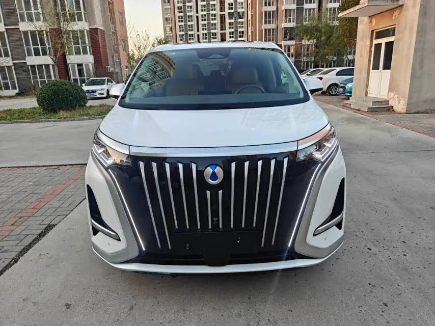 2022 DENZA D9 thumbnail 2