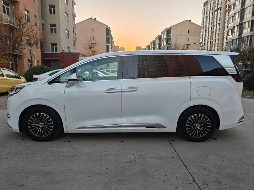 2022 DENZA D9 thumbnail 4