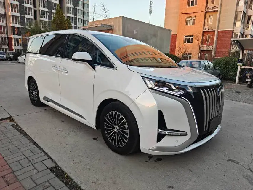 2022 DENZA D9 thumbnail 3