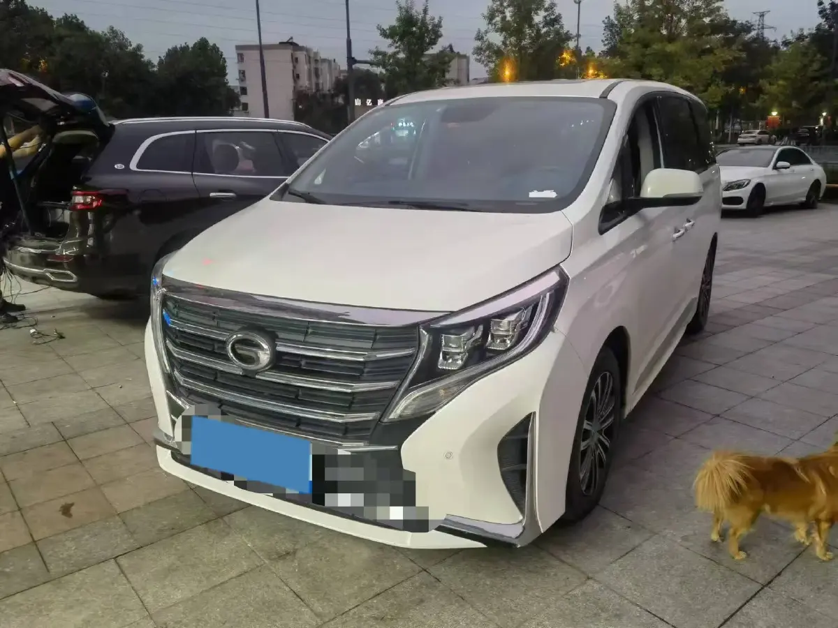 2021 GAC Trumpchi M8 2.0T 252HP L4 8AT