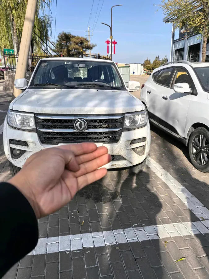 2021 Dongfeng RuiQi 2.4L 158HP L4 5MT,autocango,china used car exporter,china ev exporter,chinese used car exporter,chinese used ev exporter