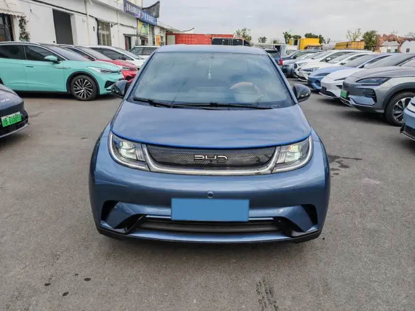 2024 BYD DOLPHIN thumbnail 2