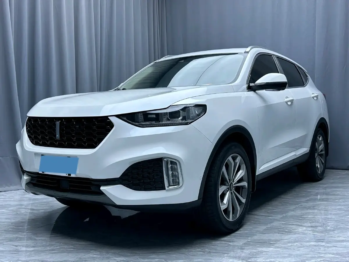 2018 WEY VV6 2.0T 197HP L4 7DCT