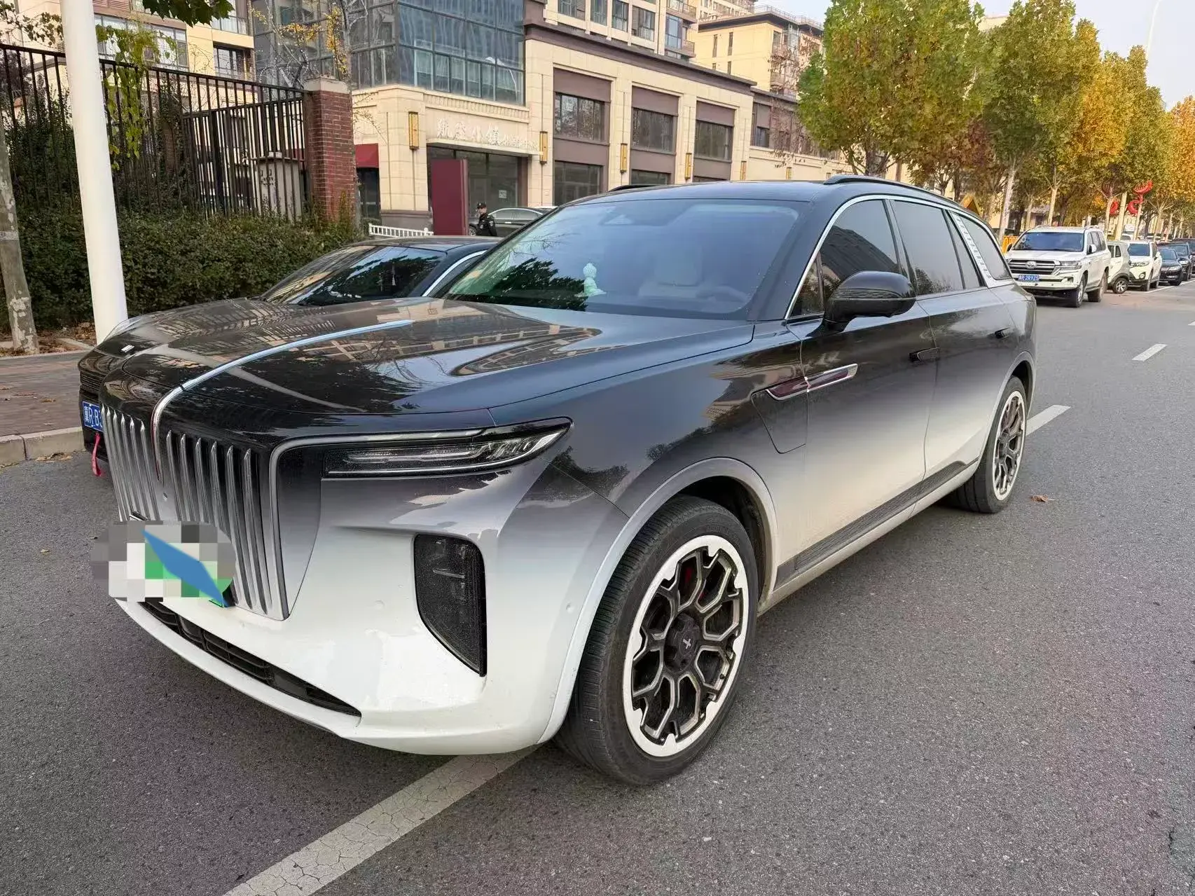 2021 HONGQI E-HS9 view 1