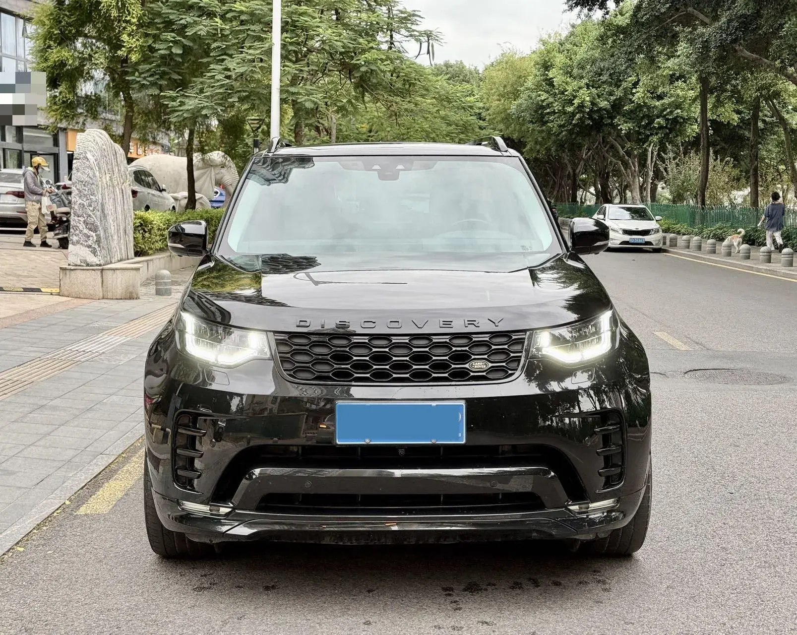 2019 LAND ROVER thumbnail 2