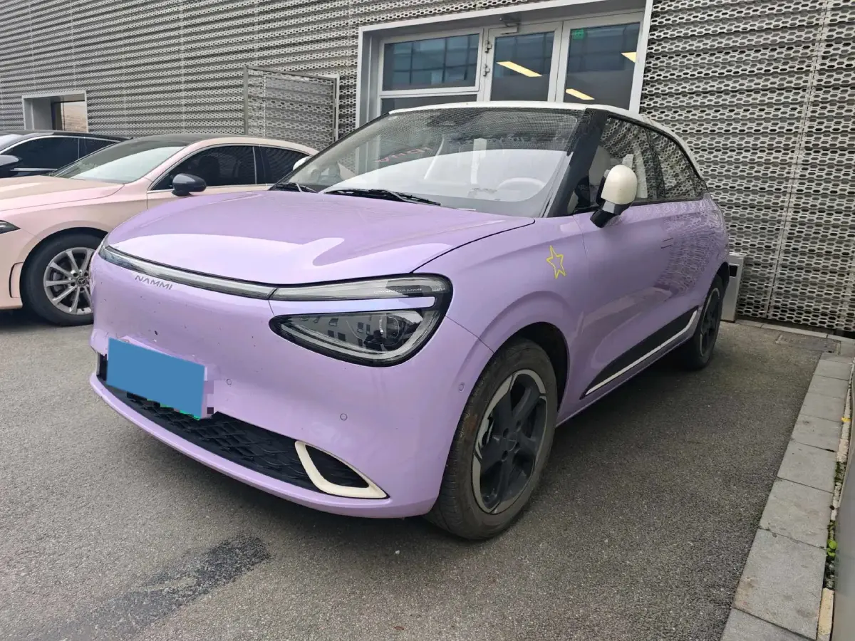 2024 DongFeng Nammi 01 BEV 42.3KWH