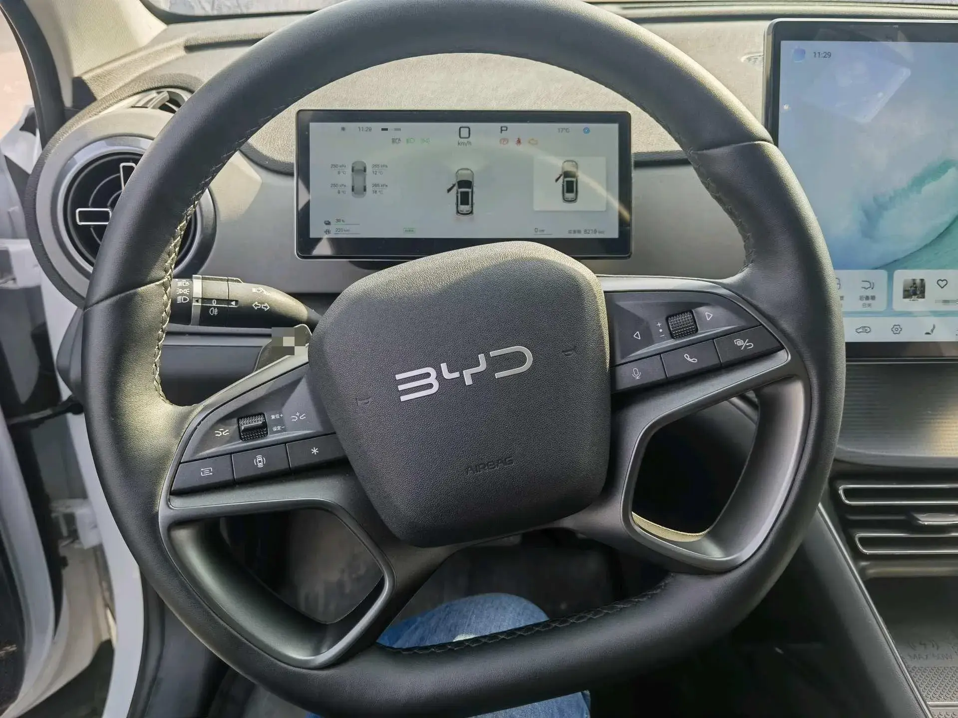 2025 BYD SEA thumbnail 3