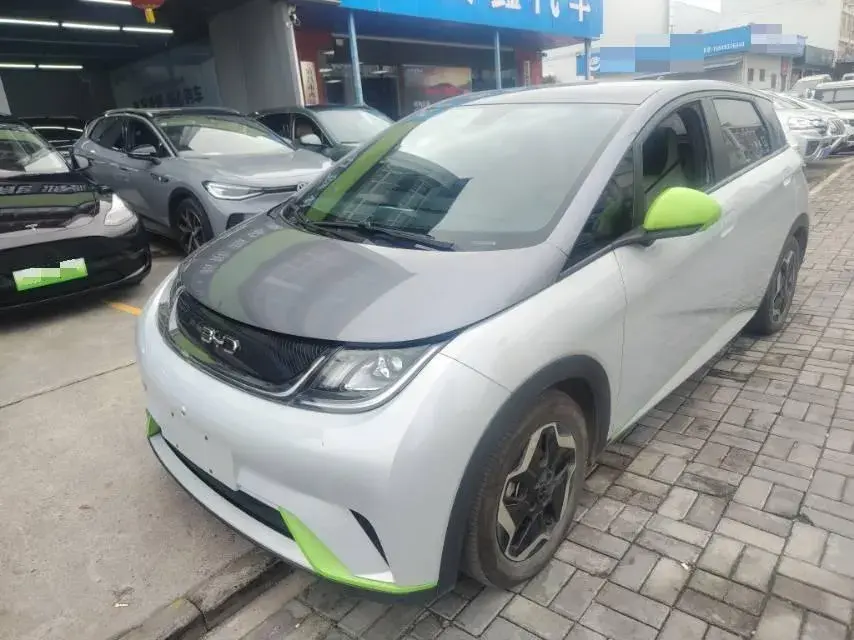2021 BYD Dolphin BEV 44.9KWH