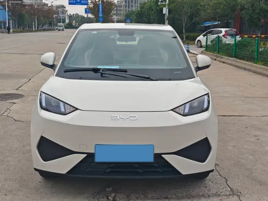 2025 BYD SEAGULL thumbnail 2